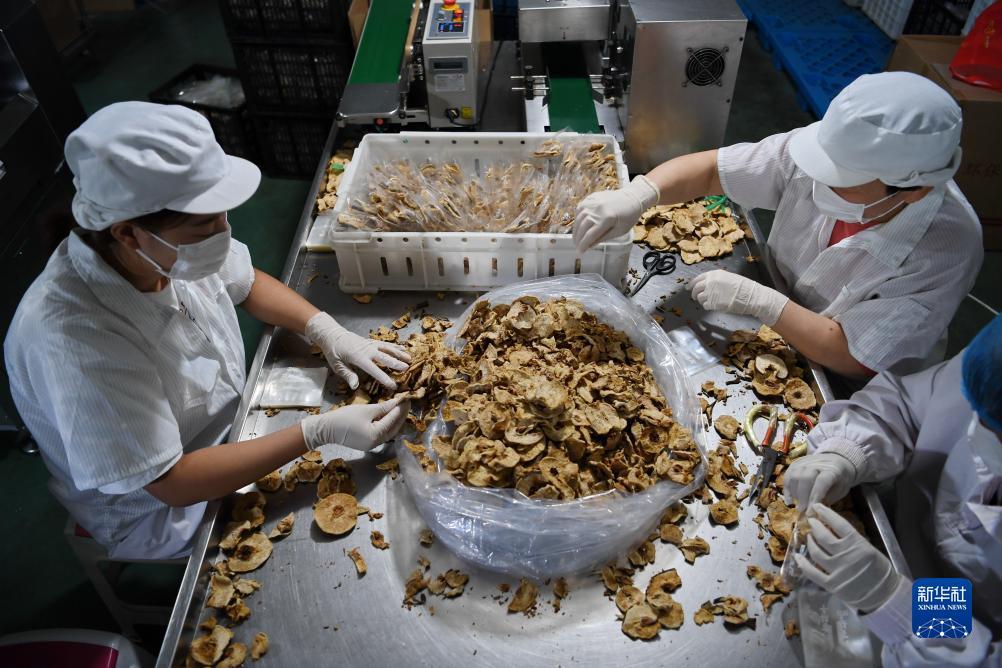 真实的赚钱提现游戏